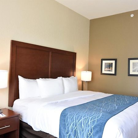 Comfort Inn & Suites Rock Hill Exteriér fotografie